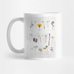 Dried Flower Collage Mug